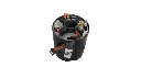 02.webp