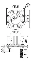 Main-03.webp